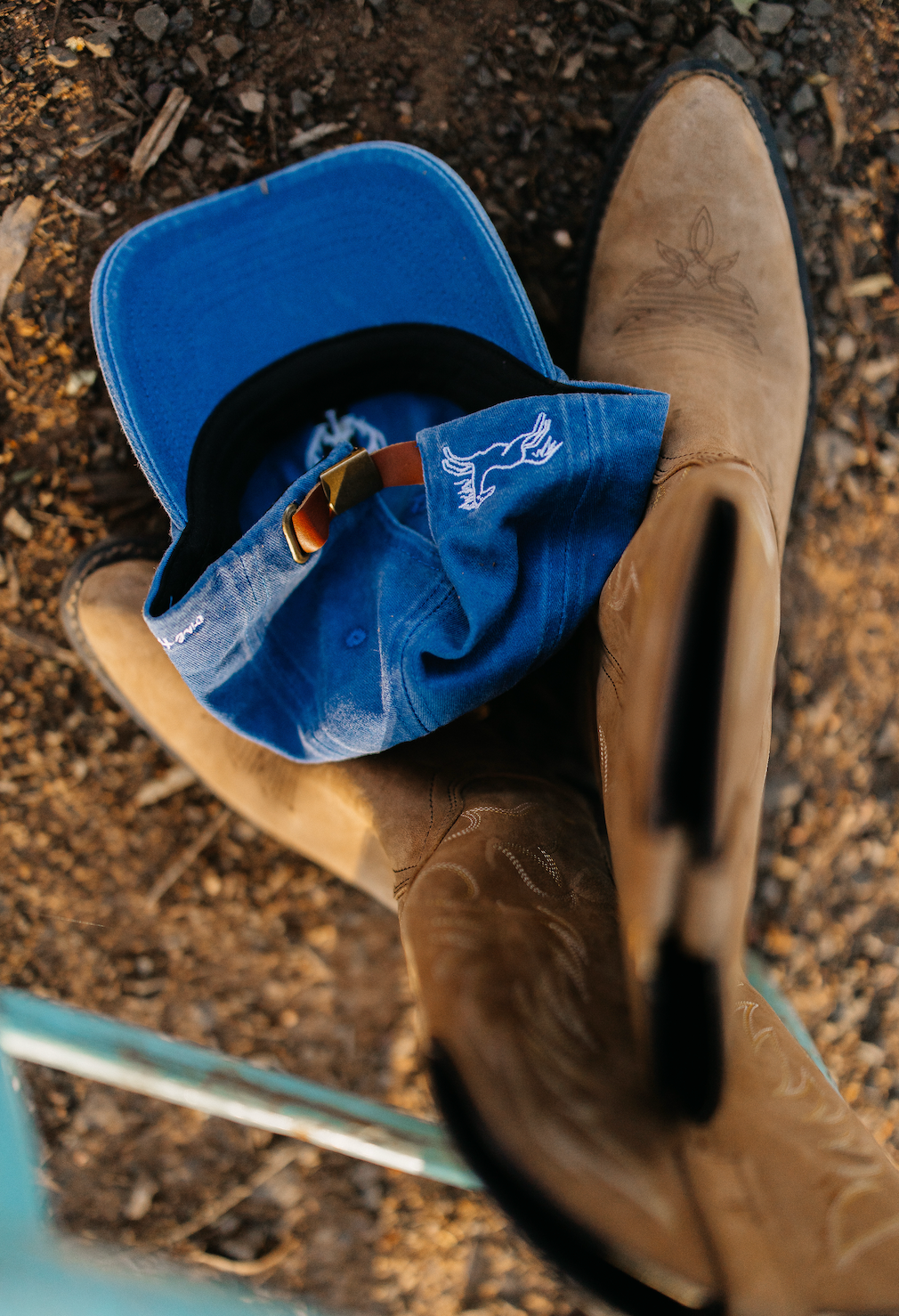 Blue Pony Cap