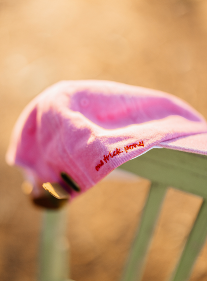 Pink Pony Cap