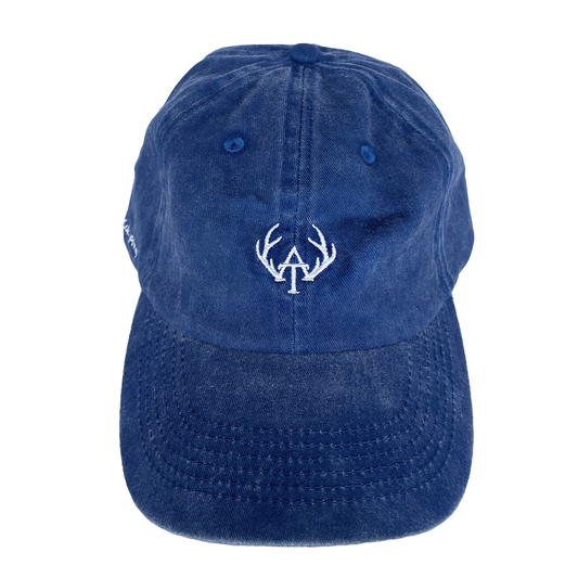 Blue Pony Cap